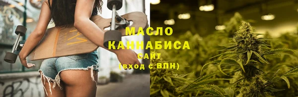 дживик Богородицк