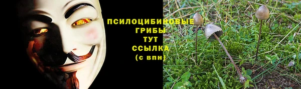 ГАЛЛЮЦИНОГЕННЫЕ ГРИБЫ Бугульма