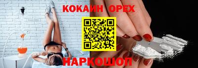 шишки Аргун