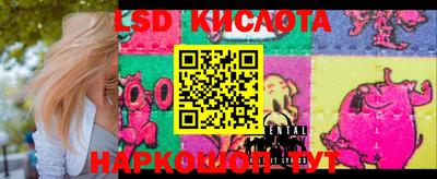 шишки Аргун