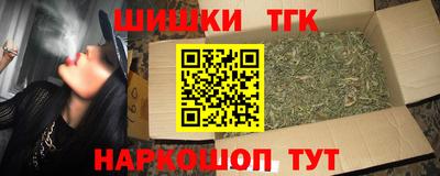 шишки Аргун