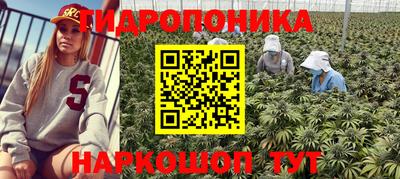 крисы Апрелевка