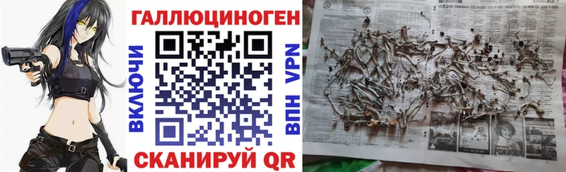 Псилоцибиновые грибы GOLDEN TEACHER  Гусев 