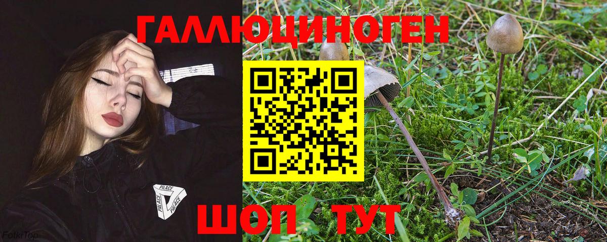 Псилоцибиновые грибы мухоморы Гусев