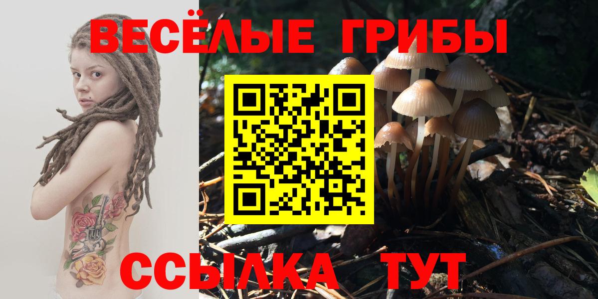 Псилоцибиновые грибы GOLDEN TEACHER Гусев